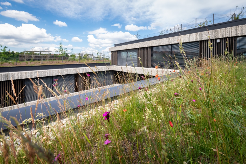 Budova ČSOB v Radlicích. FOTO: Vojta Herout