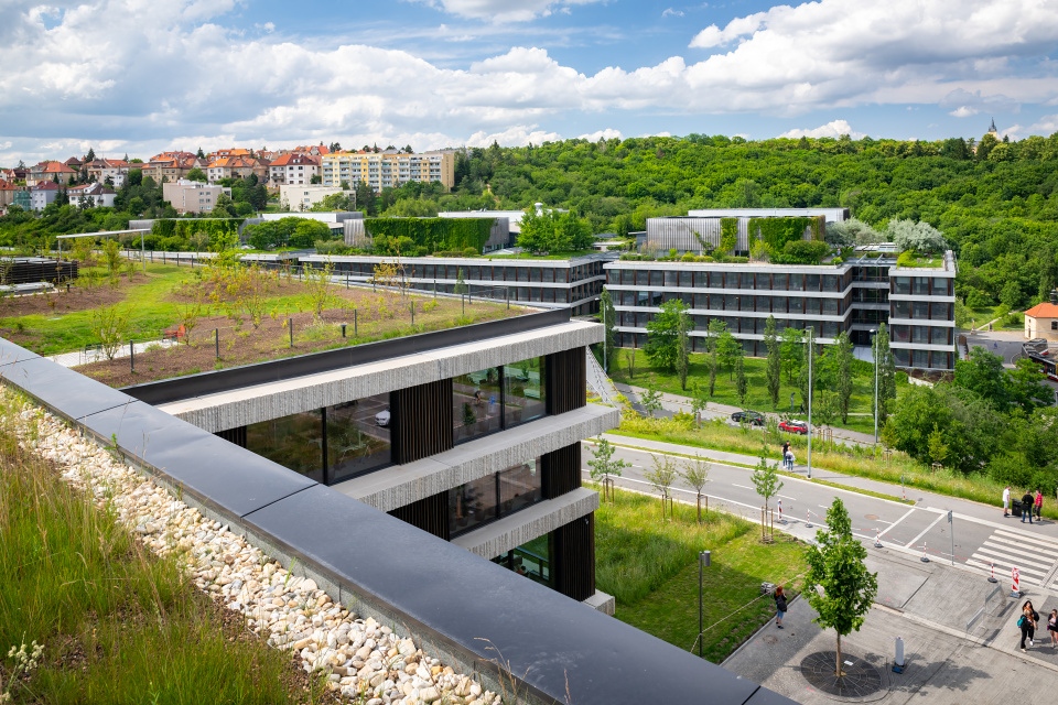 Budova ČSOB v Radlicích. FOTO: Vojta Herout