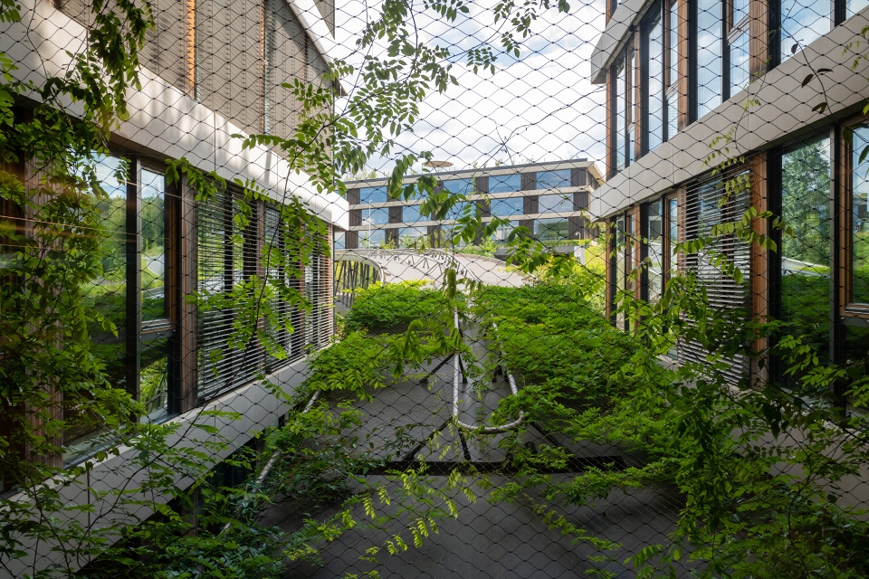 Budova ČSOB v Radlicích. FOTO: Vojta Herout